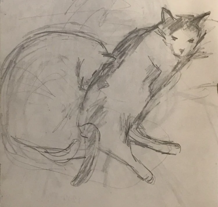 cats2024.jpg
