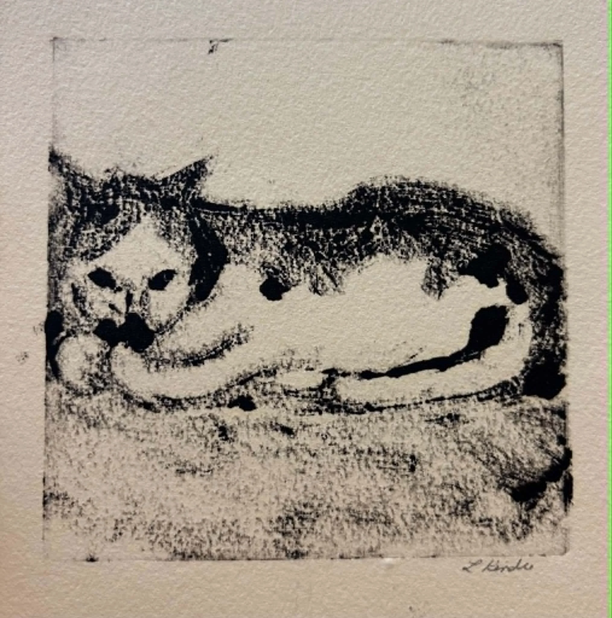 small cat.jpeg