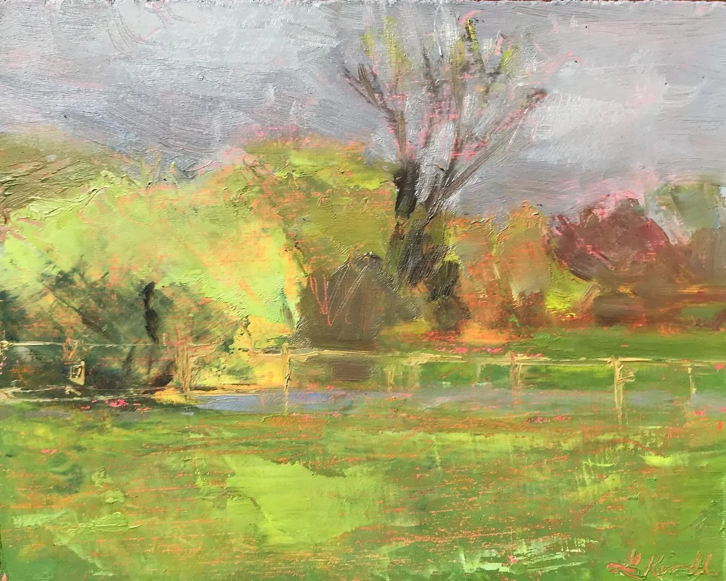 spring field in the morning.jpg