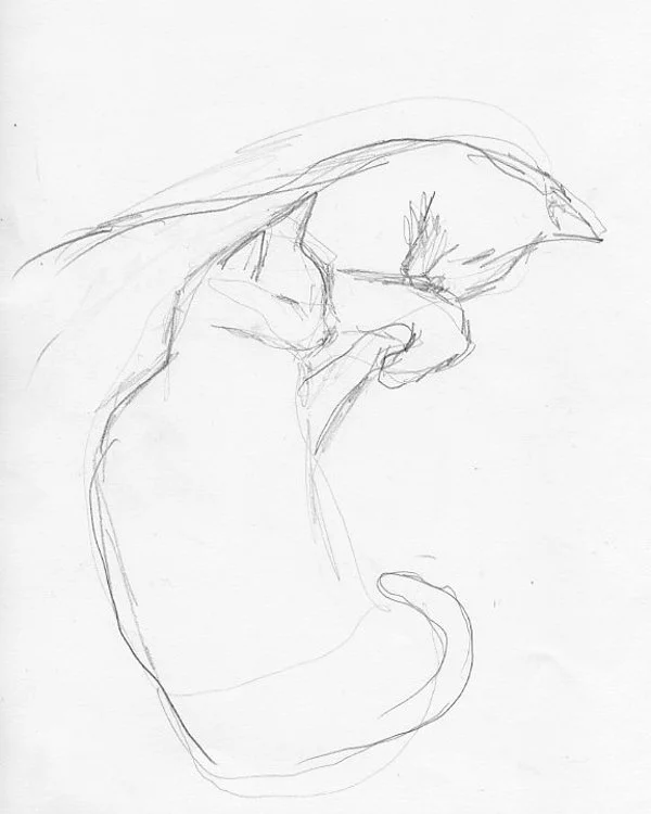 Kindle_Lauren_Cats.jpg