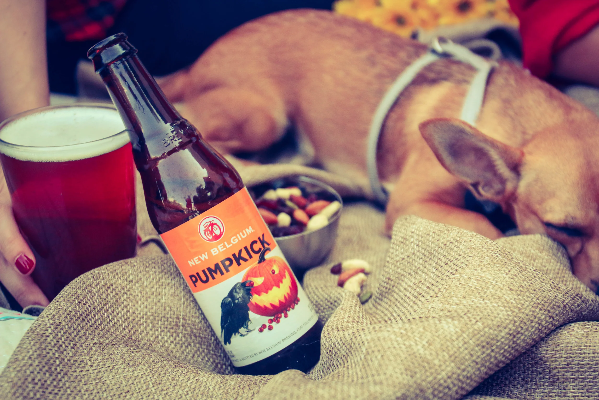 Cheers4Beers-3.jpg