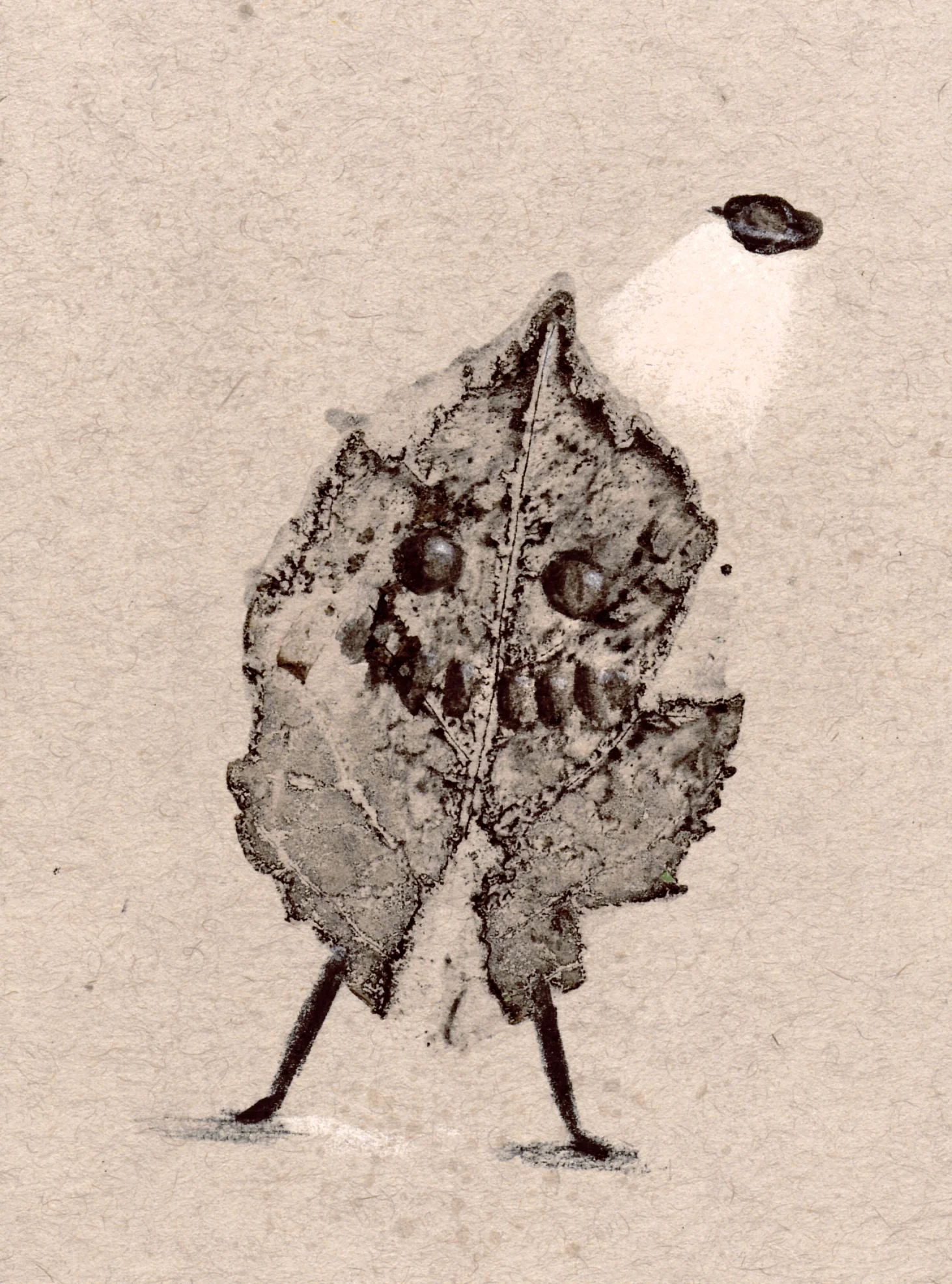 Leaf ambassador.jpg