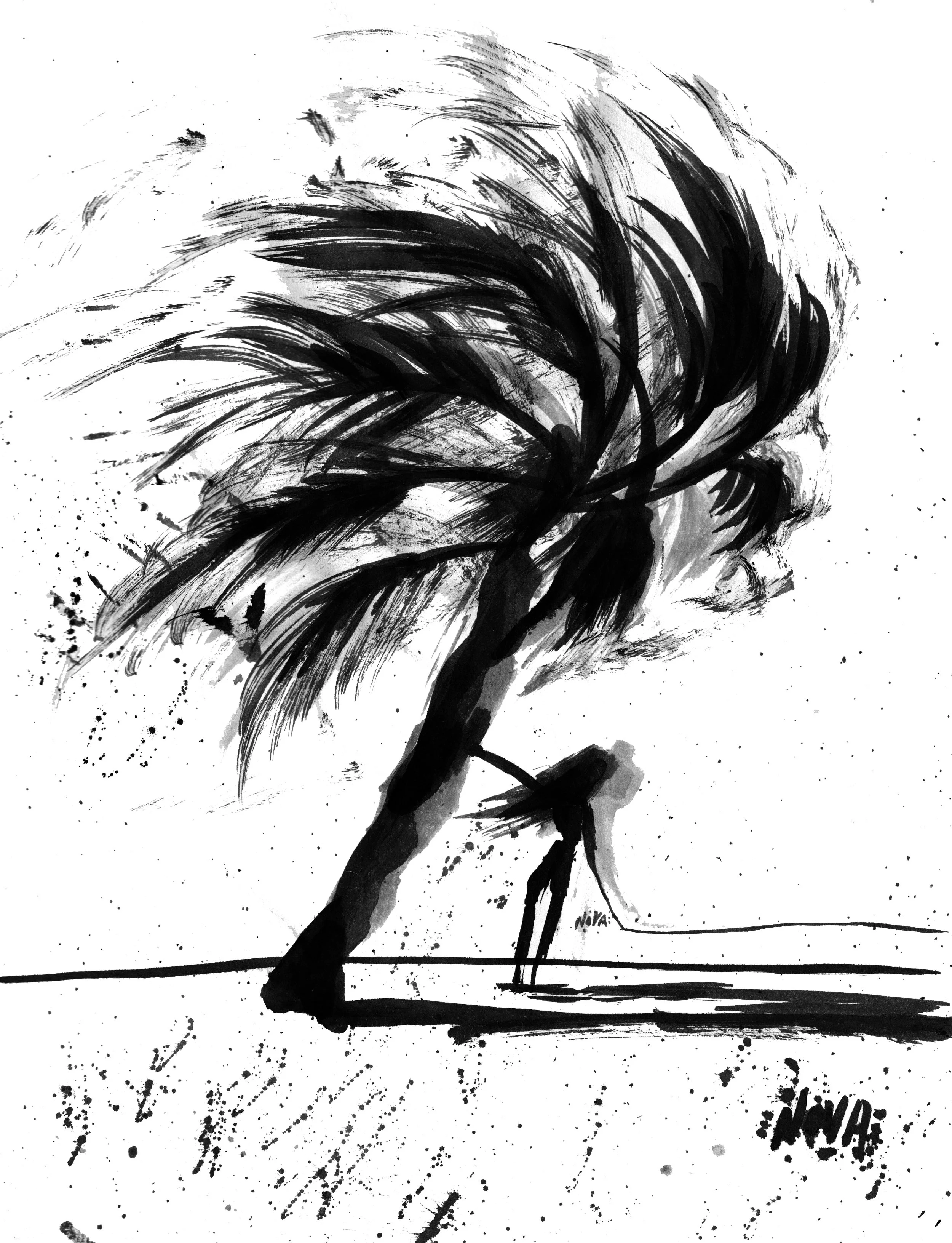 Mandatory Evactuation.jpg