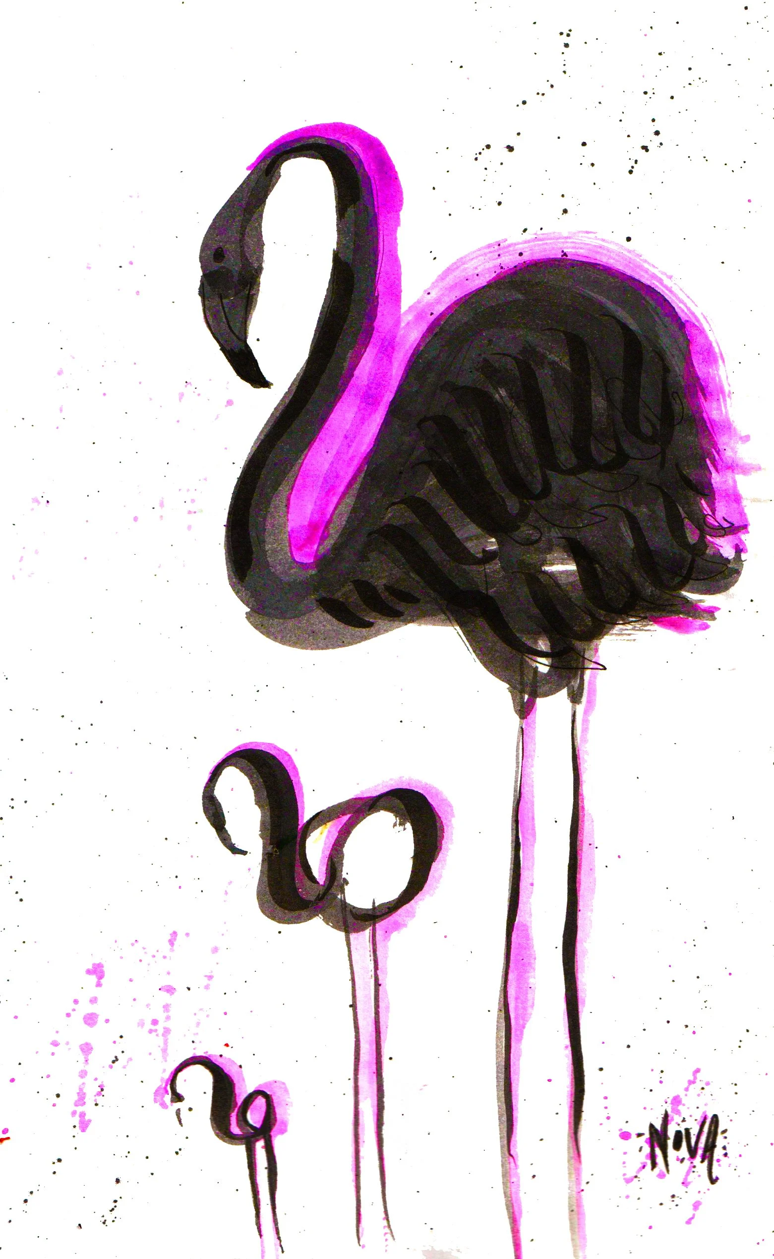 flamingo babies.jpg