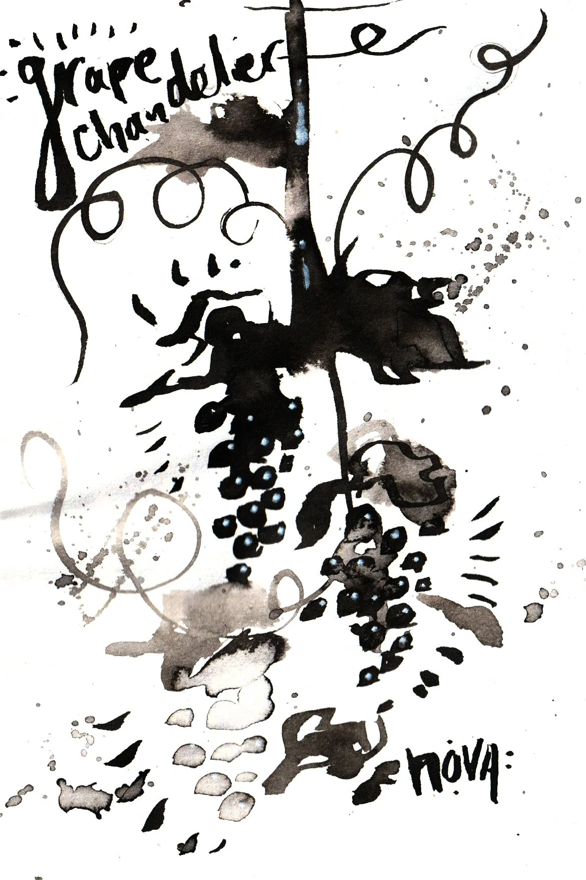 Grape Chandelier.jpg