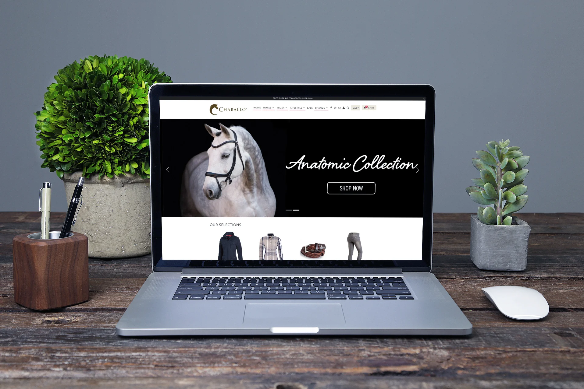 Chaballo Home Page.jpg