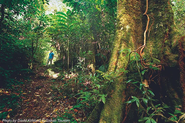 Sabah_Tourism-David Kirkland-PIC_74.jpg