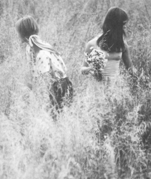 David Hamilton.