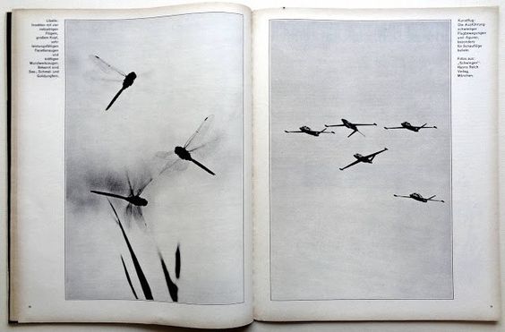 Willy Fleckhaus, artwork for Twen Magazine, Germany, 1964.