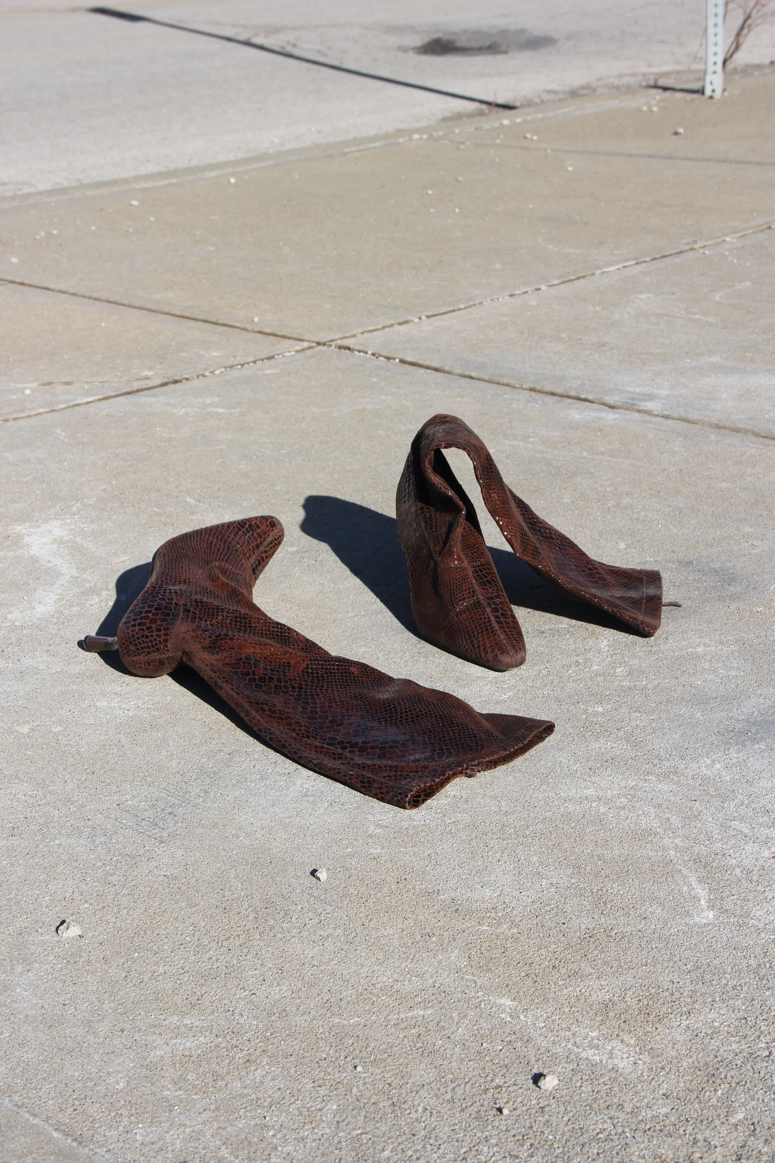 snakeskin boot 1.jpg