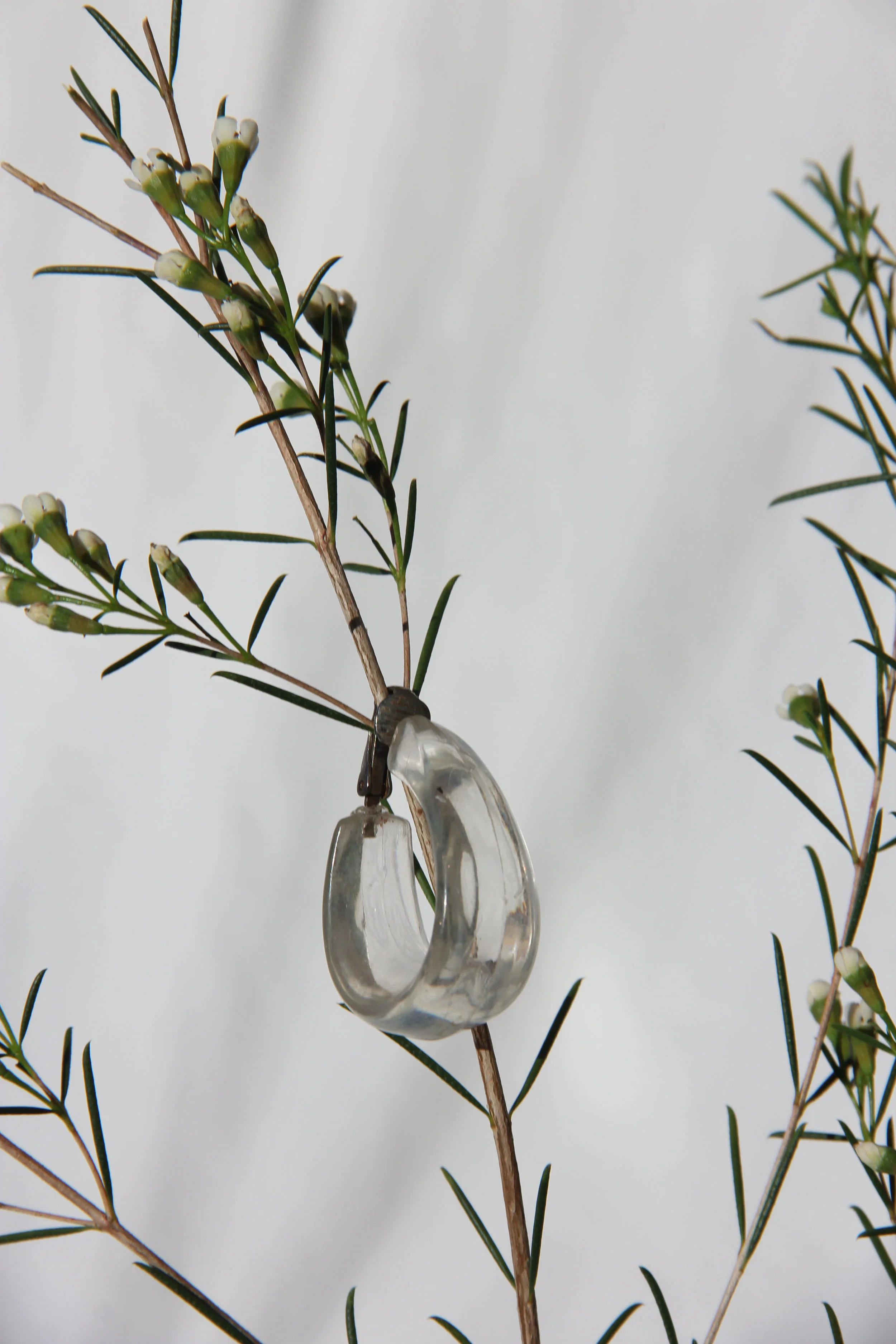 clear lucite hoops_1.jpg