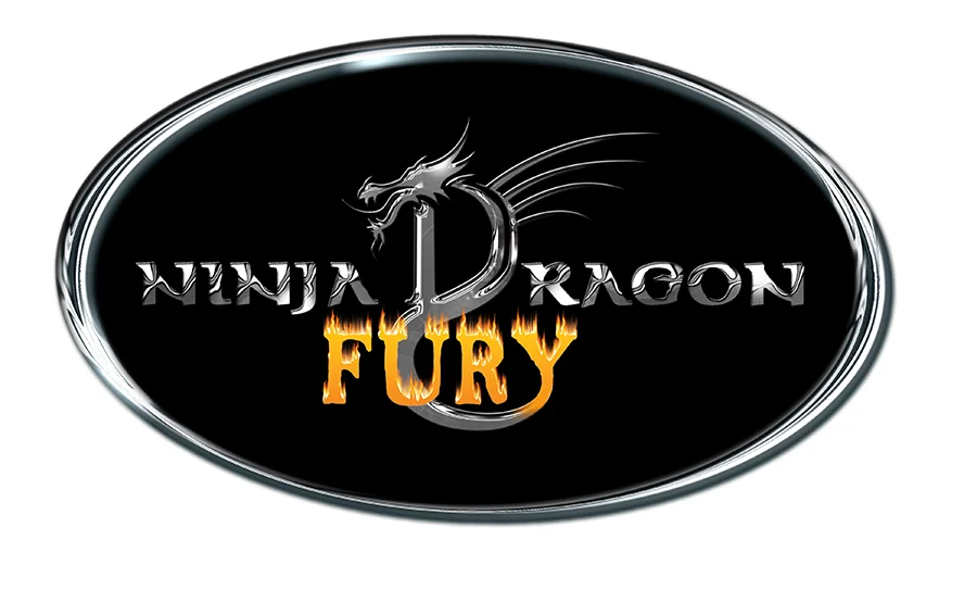 Ninja Dragon Fury