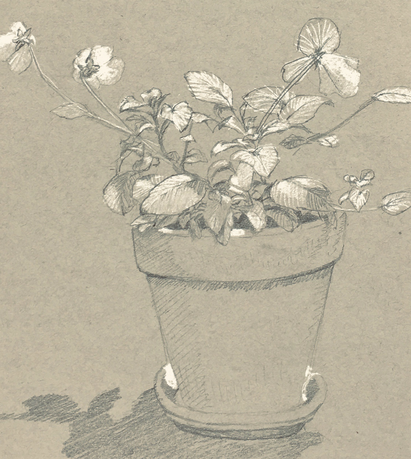 Screen Shot 2020-11-28 at 7.35.56 PM.png