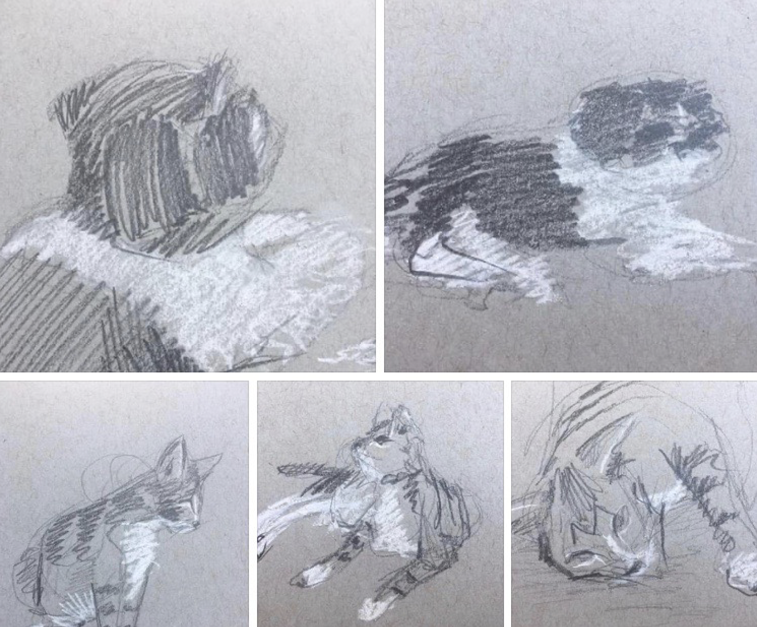 Screen Shot 2020-11-28 at 7.36.12 PM.png