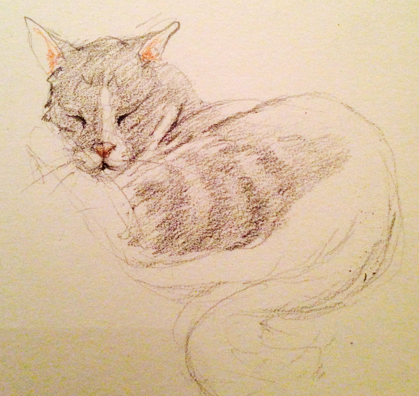 Screen Shot 2020-11-28 at 7.38.44 PM.png