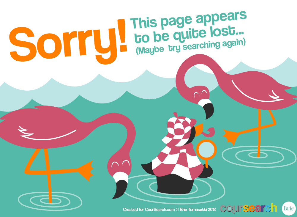 The approved 404 error image.