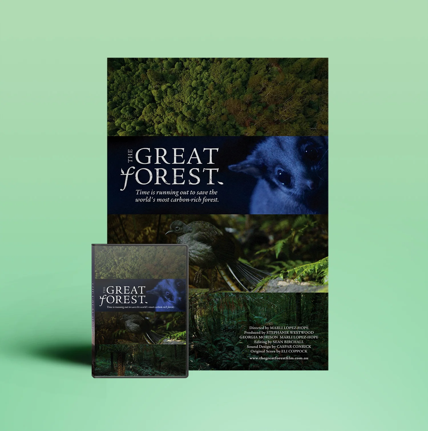 Poster & DVD Design