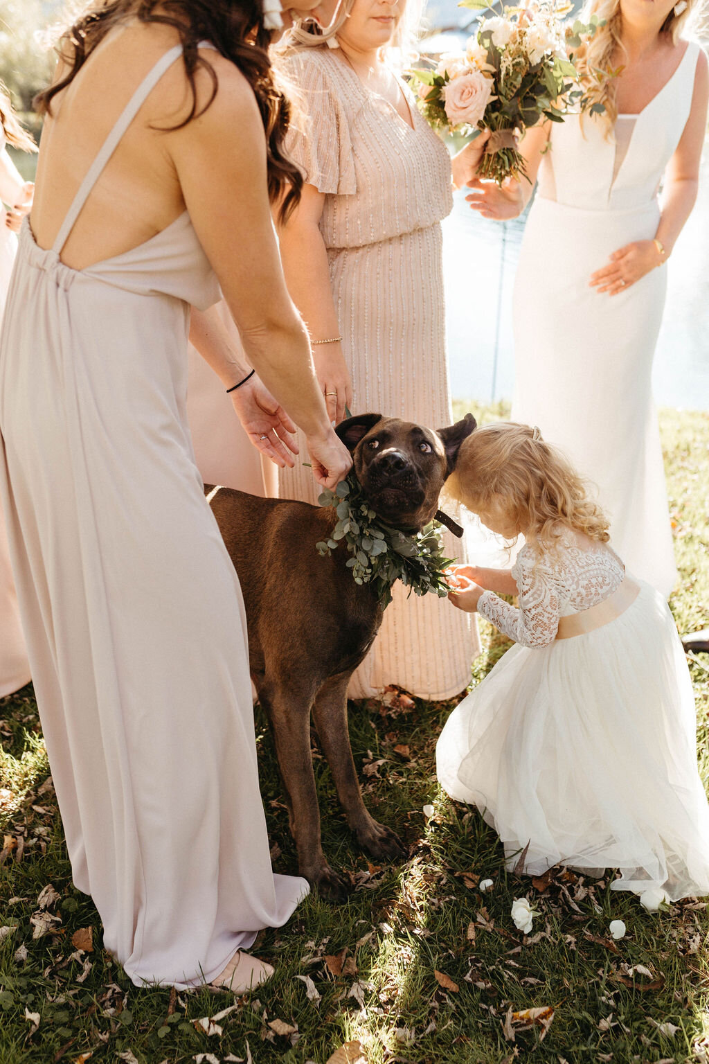 Jacqueline-Waters-Photography-Big-Spring-Farm-Lexington-Virginia-Fall-Wedding-Photographer-(711).jpg