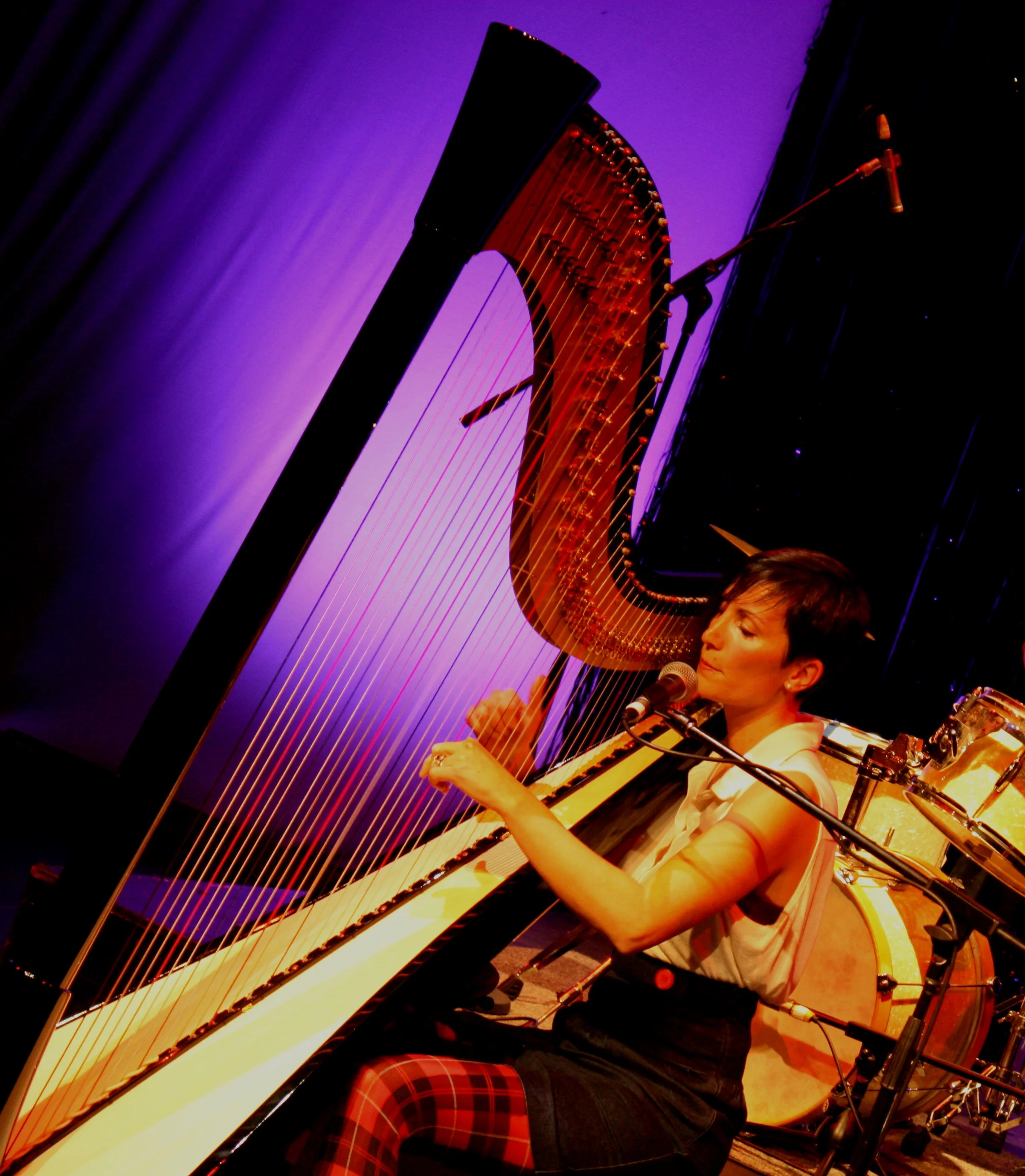 Melbourne Harpist for Corporate Events (Copy)