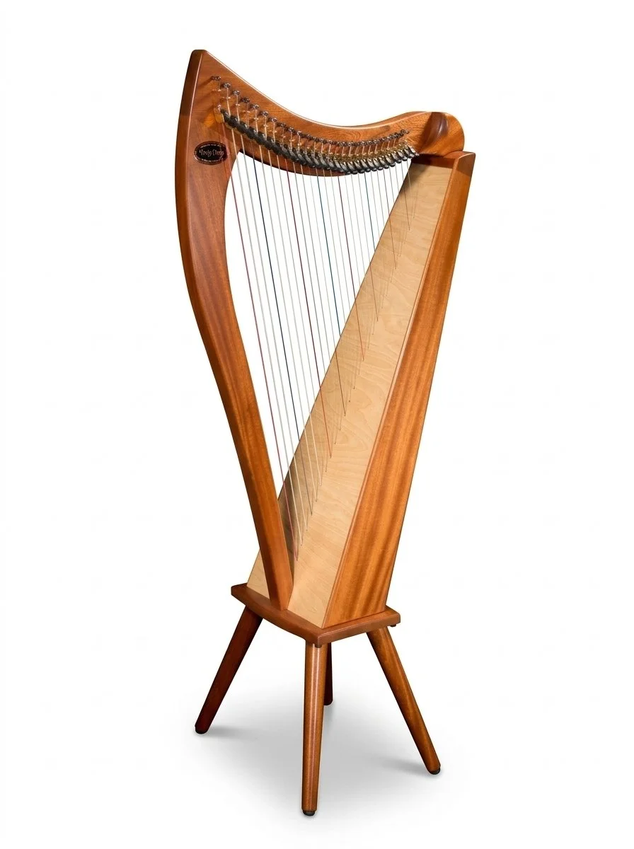 Dusty Strings Allegro 26