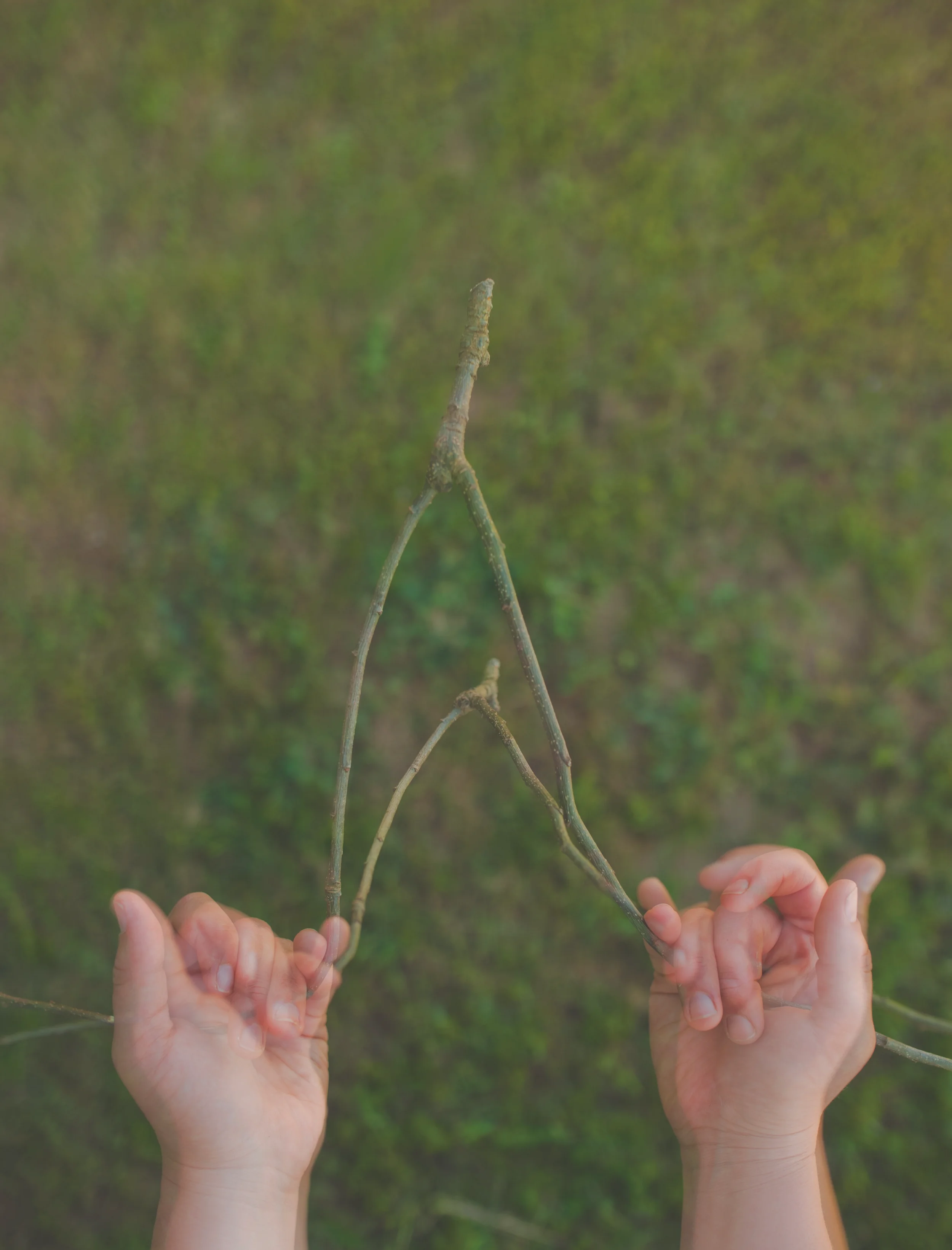 divining faultlines for sustenance (dowsing series)