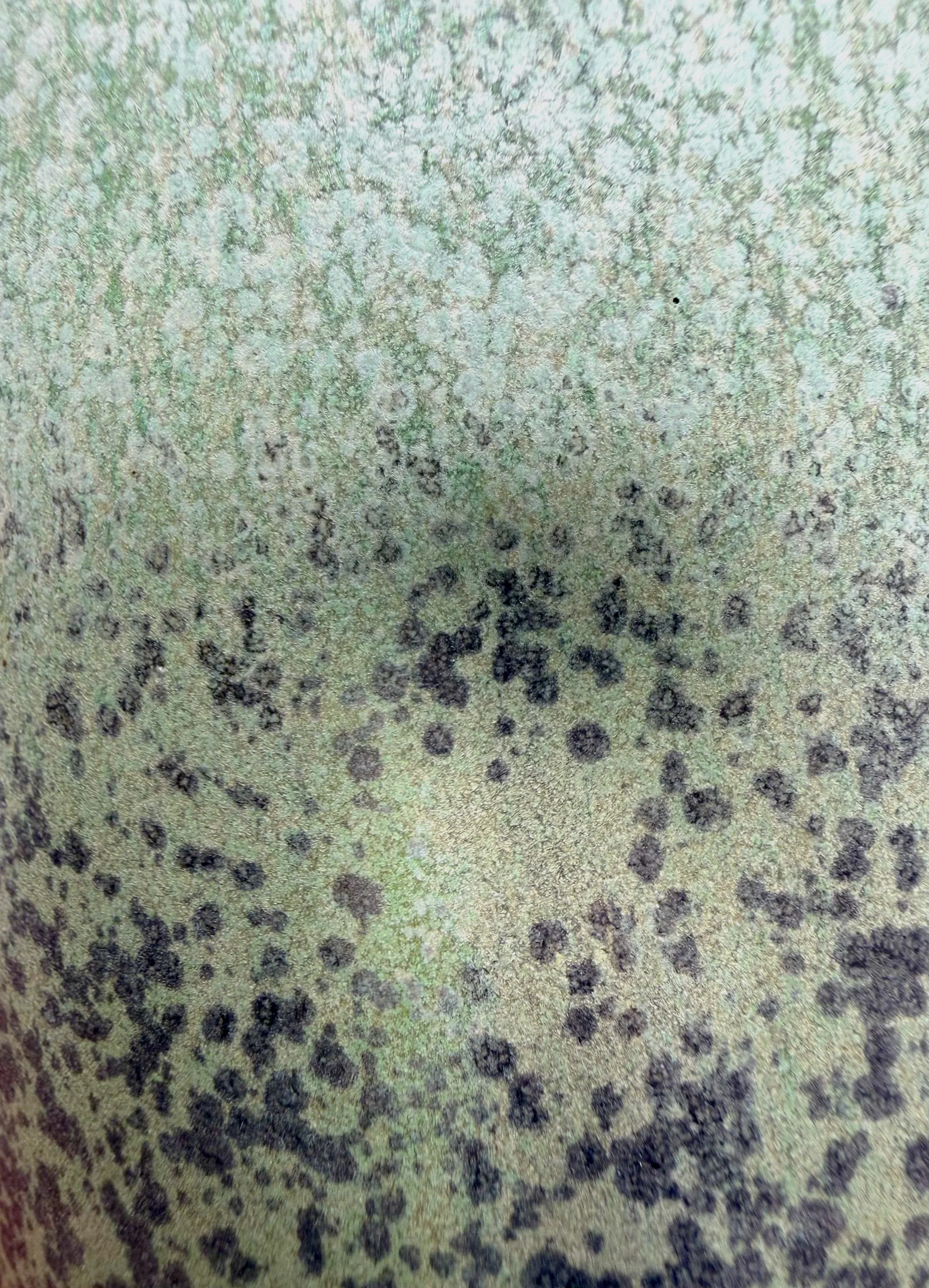 Oil+Glaze.jpg