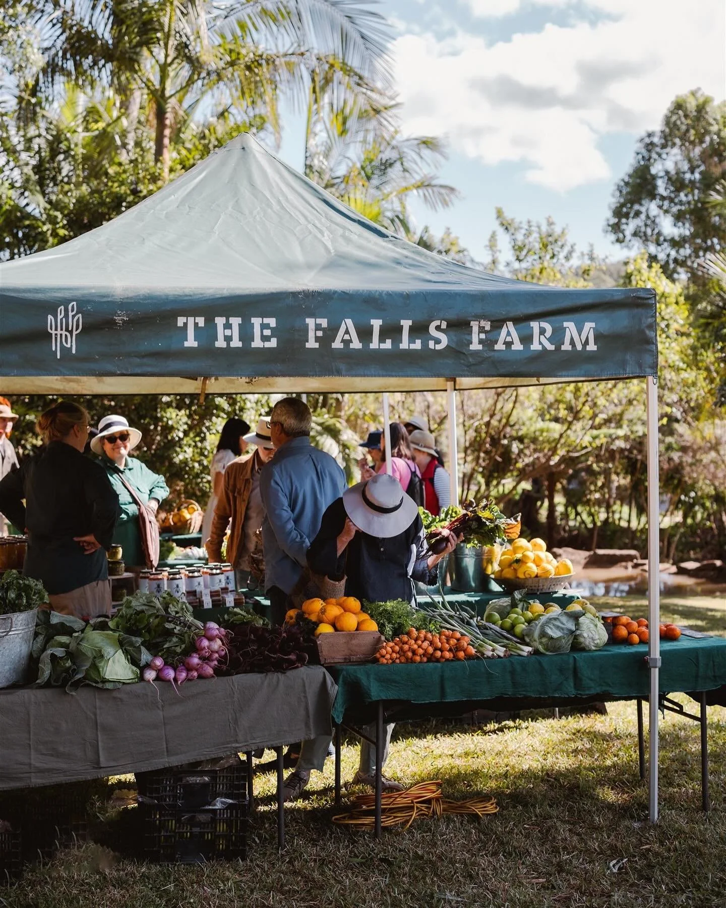 No plans for the weekend? Come and visit us at the farm this Saturday 27th anytime from 10am-3pm. We&rsquo;ll be running tours to showcase some of the regenerative agriculture principles we apply here at the farm. There&rsquo;ll be tasting tables, pr