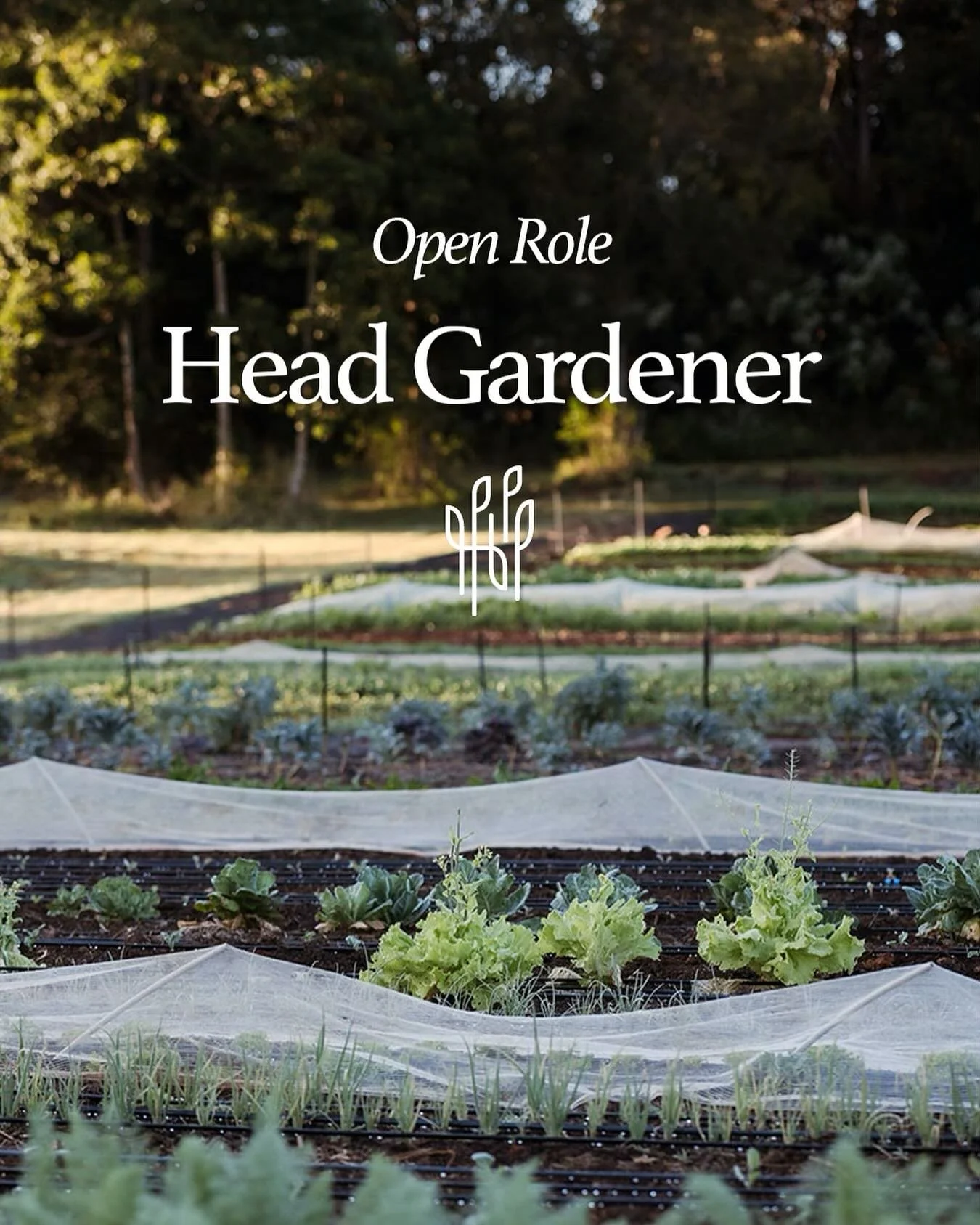 THIS POSITION HAS BEEN FILLED. Thank you! We&rsquo;re looking for enthusiastic people to join our team. Hop on our website to check current open roles.