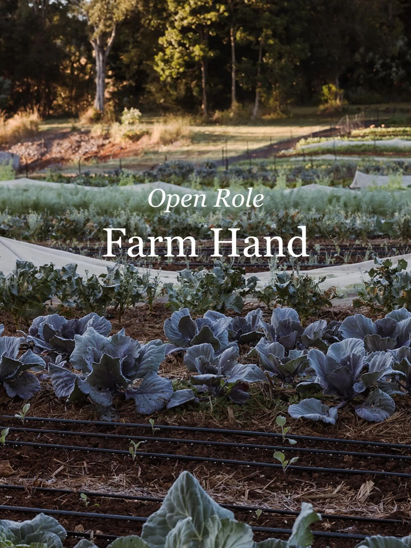 POSITION FILLED - We&rsquo;re on the lookout for a passionate, hard-working individual to become part of our friendly farm crew. If you love the outdoors, enjoy working with your hands, and want to be part of something meaningful, we&rsquo;d love to 