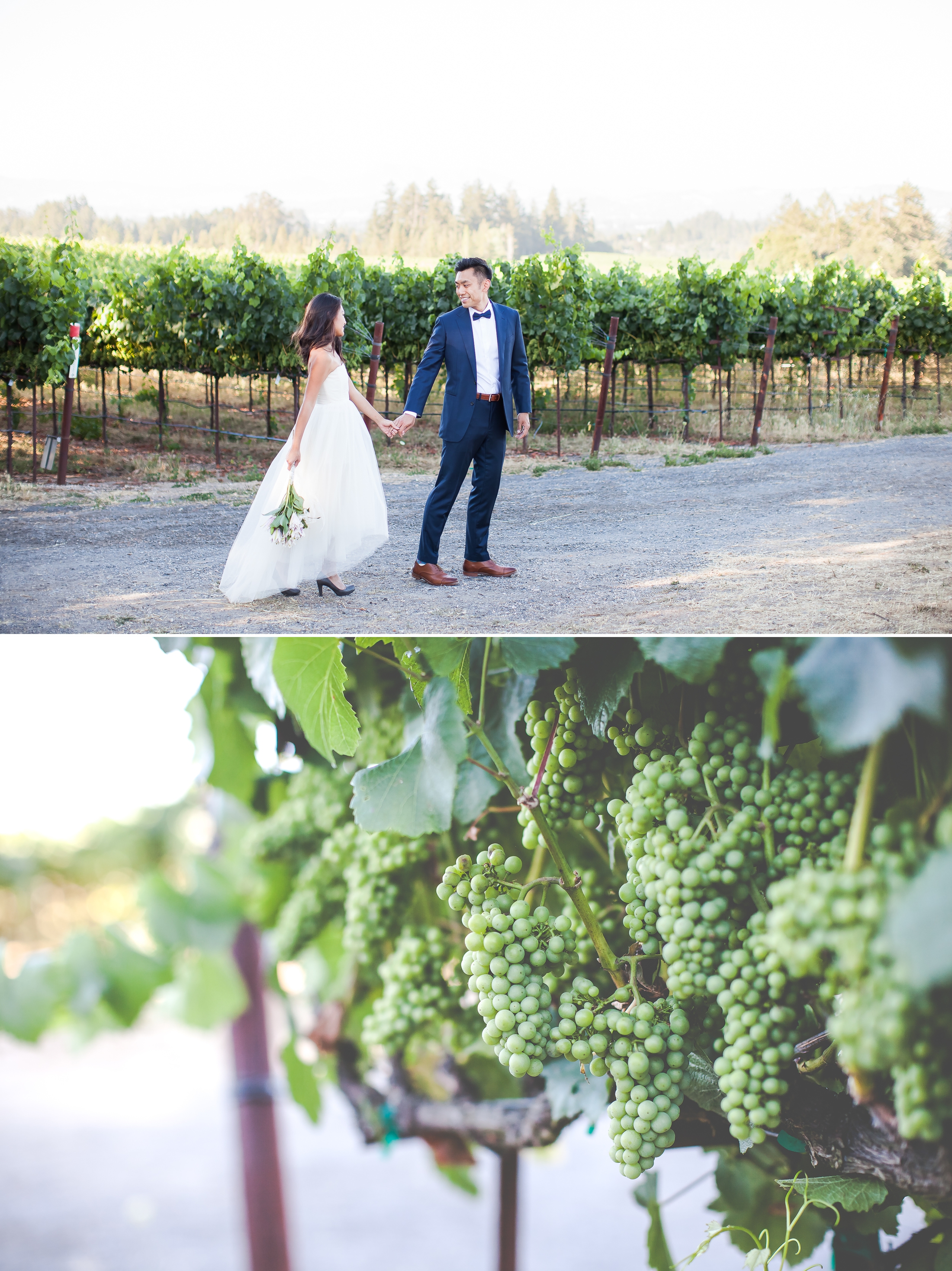 Patty Vine Hill Blog 15.jpg