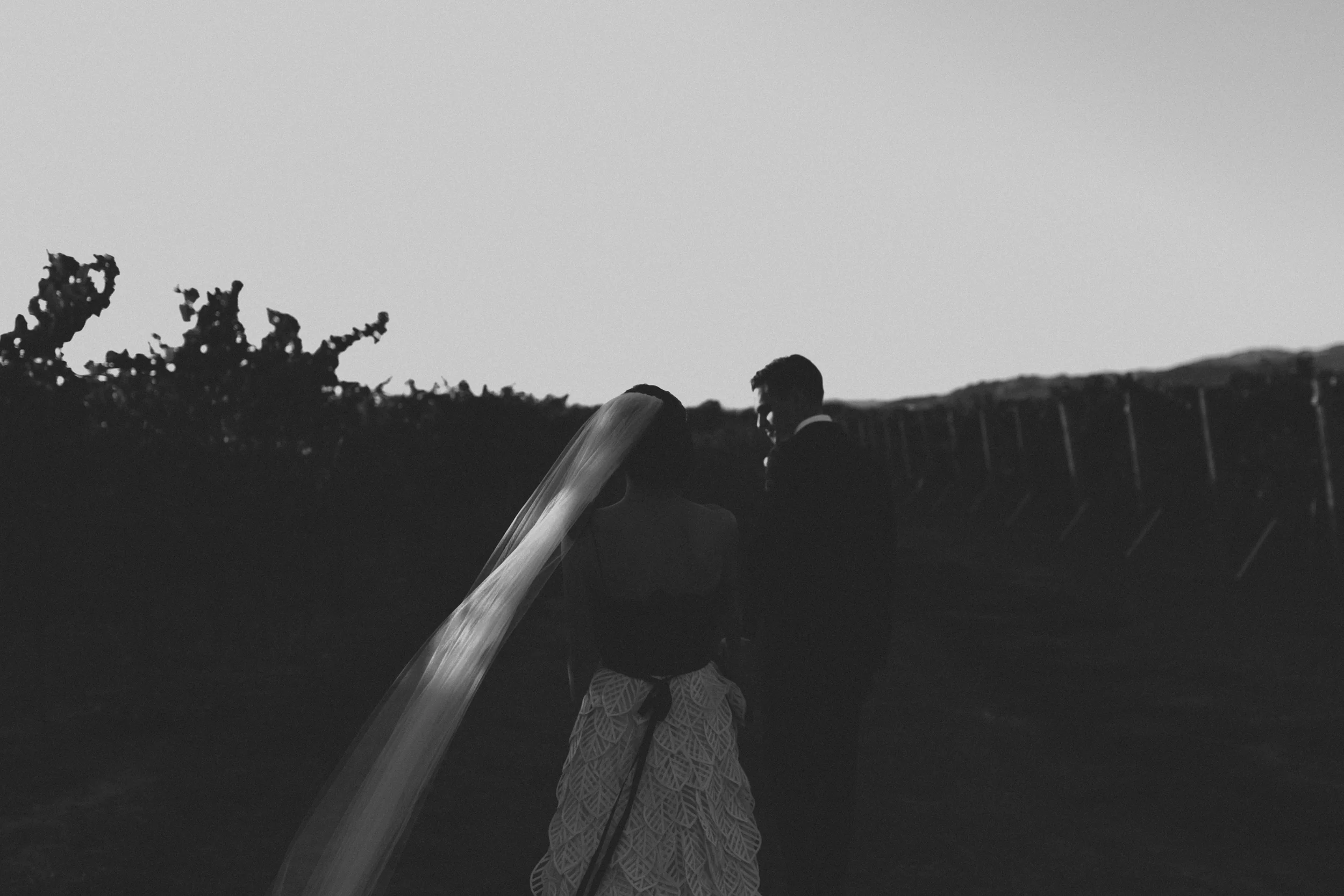 Healdsburg_Wedding_Abi_Q_Photography-2.jpg