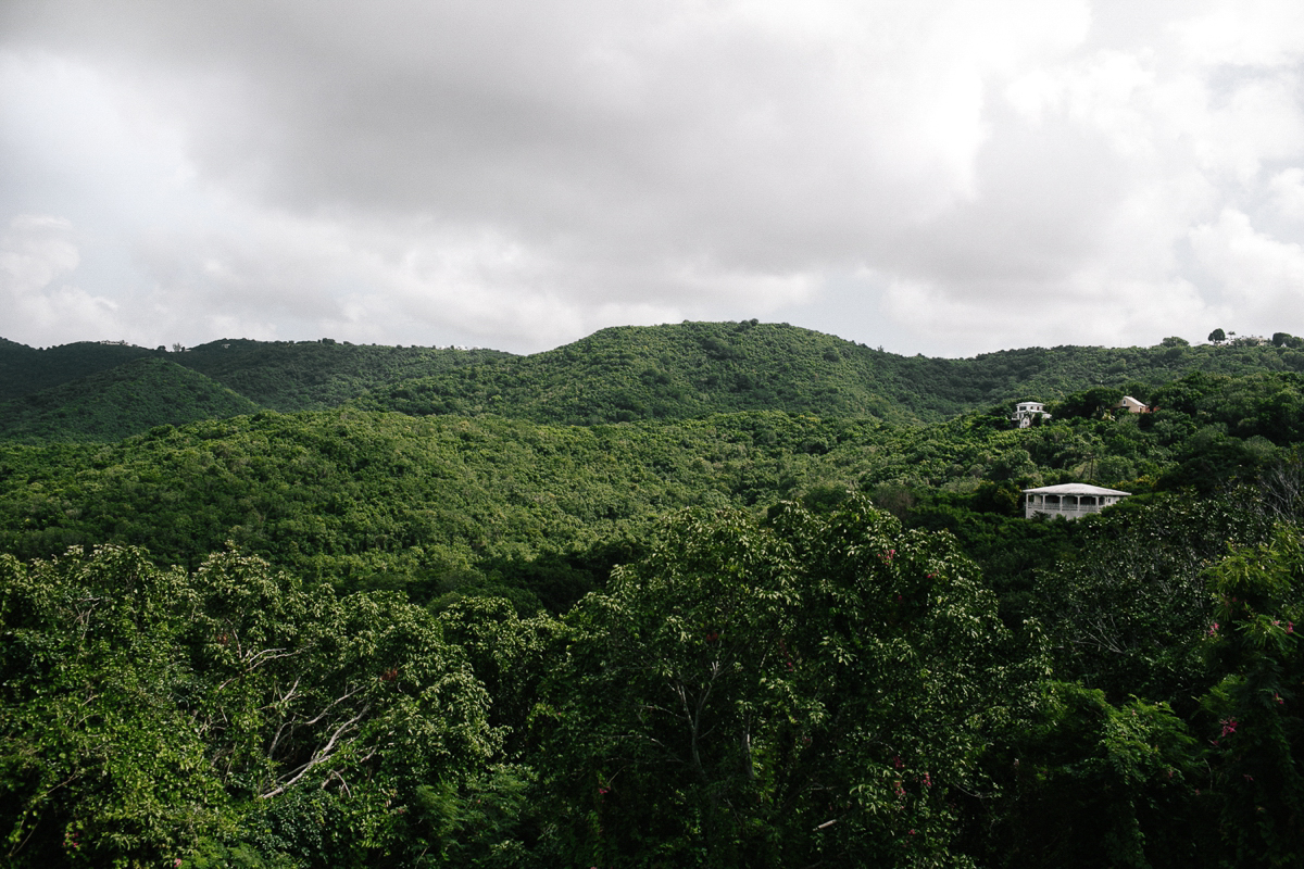 St_Croix_Wedding_Abi_Q_Photography_-100.jpg