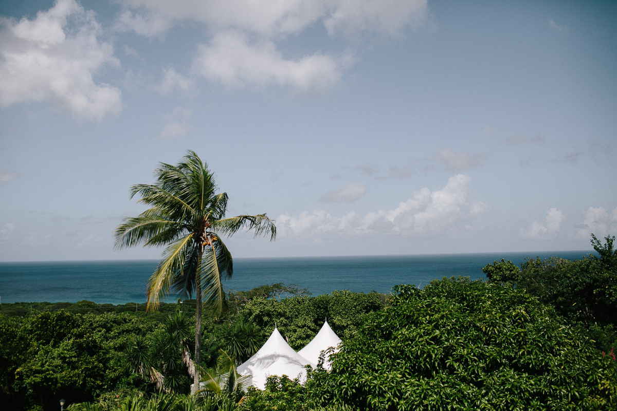 St_Croix_Wedding_Abi_Q_Photography_-103.jpg