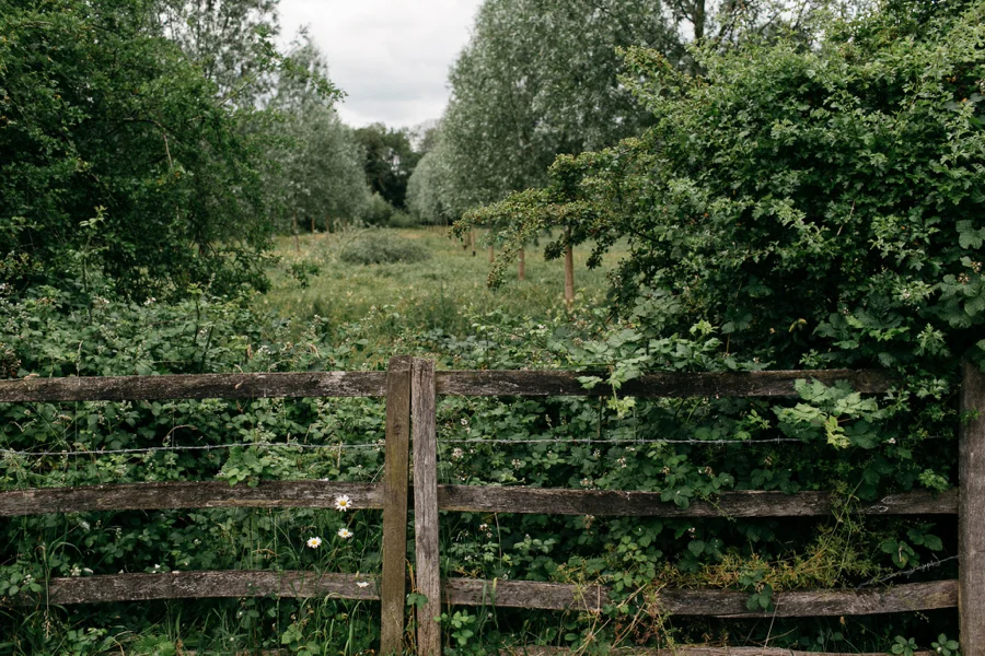Notley-abbey-buckinghamshire-england-wedding-abi-q-photography--101.jpg