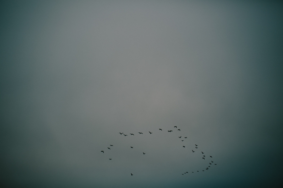 Point-reyes-engagement-abi-q-photography-148.jpg