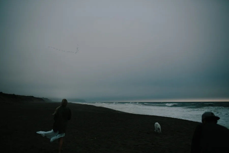 Point-reyes-engagement-abi-q-photography-154.jpg