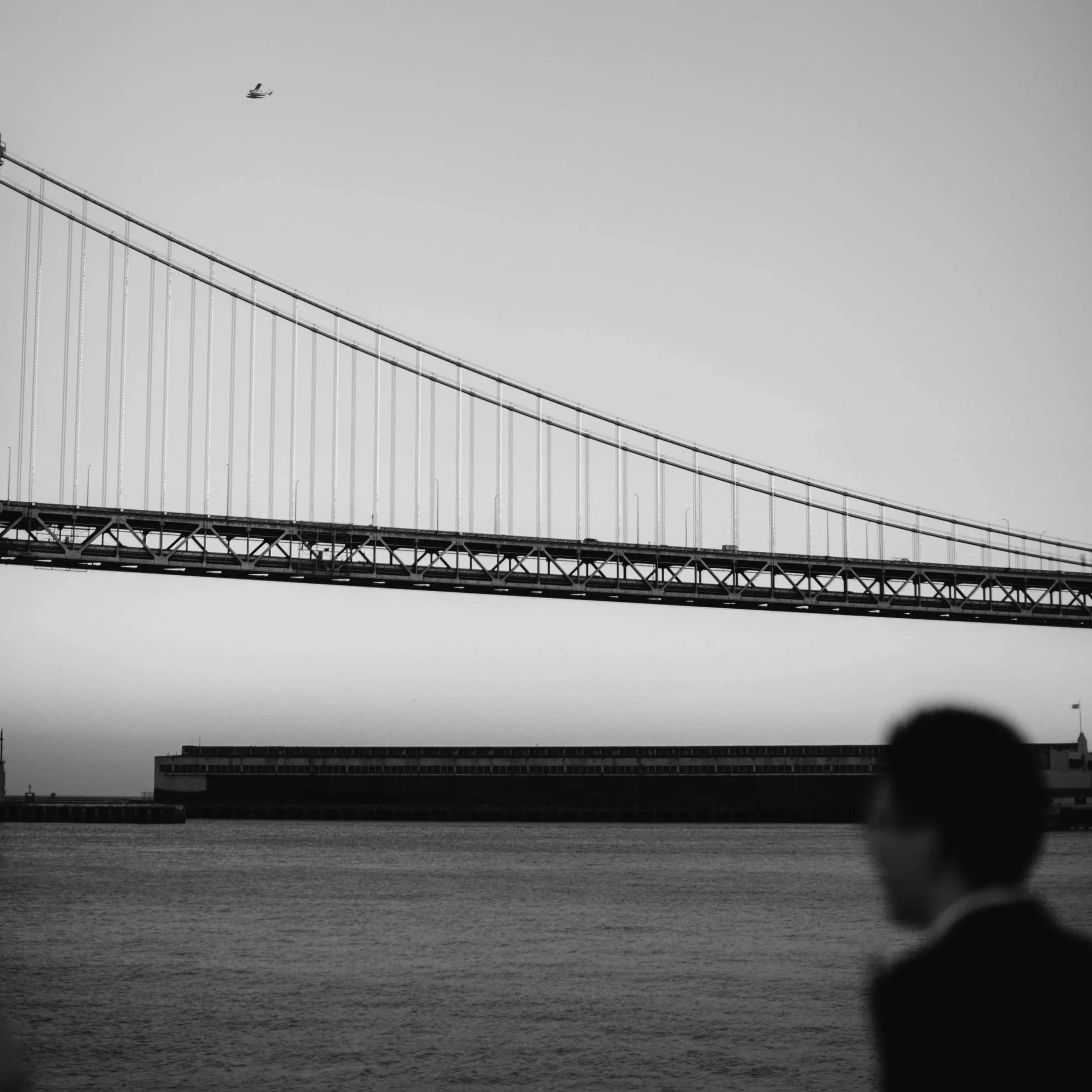 M+O-Wedding-600.jpg