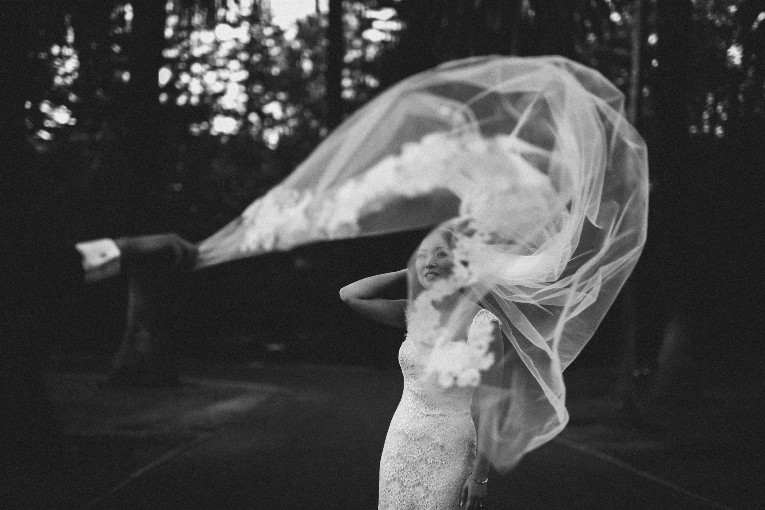 Palm_Dale_Estates_Wedding_Abi_Q_Photography-2-2.jpg