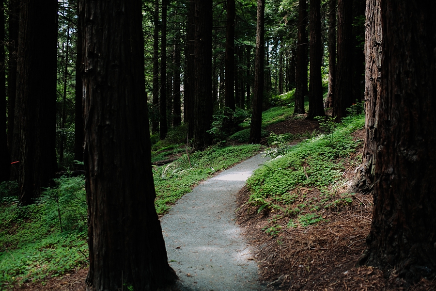Berkeley-botanical-garden-wedding-Abi-Q-photography-_0123.jpg