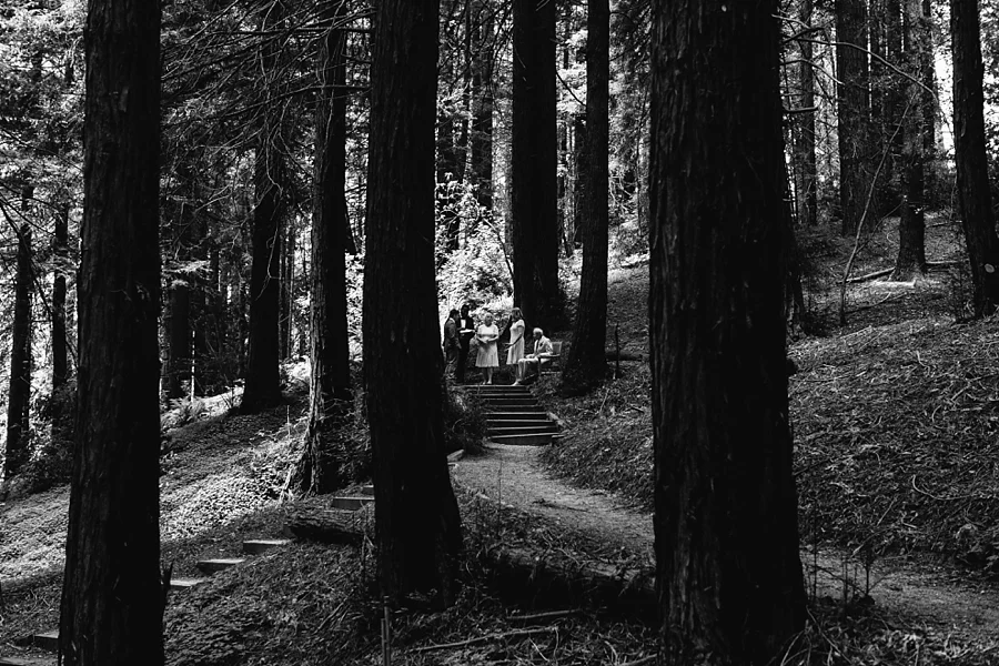 Berkeley-botanical-garden-wedding-Abi-Q-photography-_0152.jpg