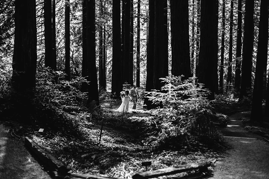 Berkeley-botanical-garden-wedding-Abi-Q-photography-_0153.jpg
