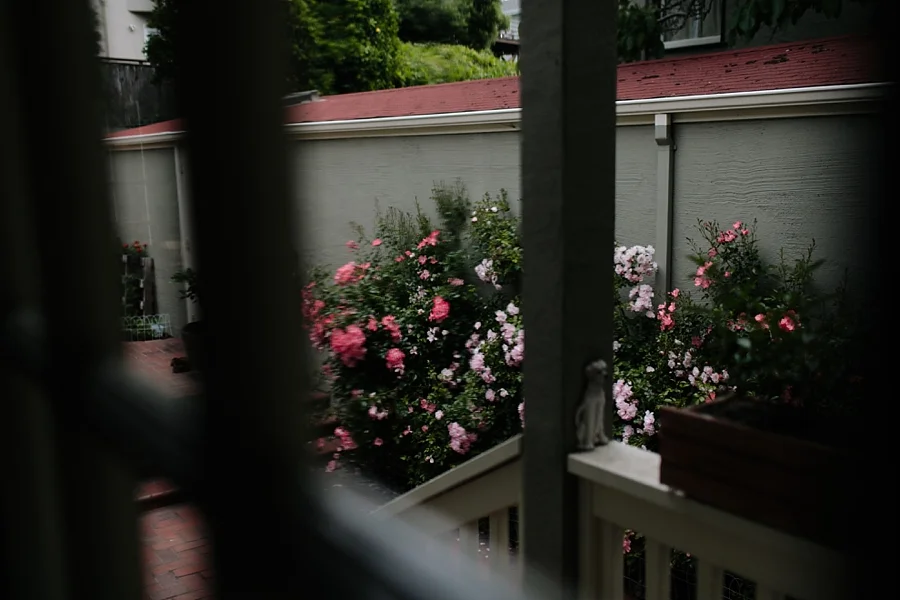 Berkeley-botanical-garden-wedding-Abi-Q-photography-_0157.jpg