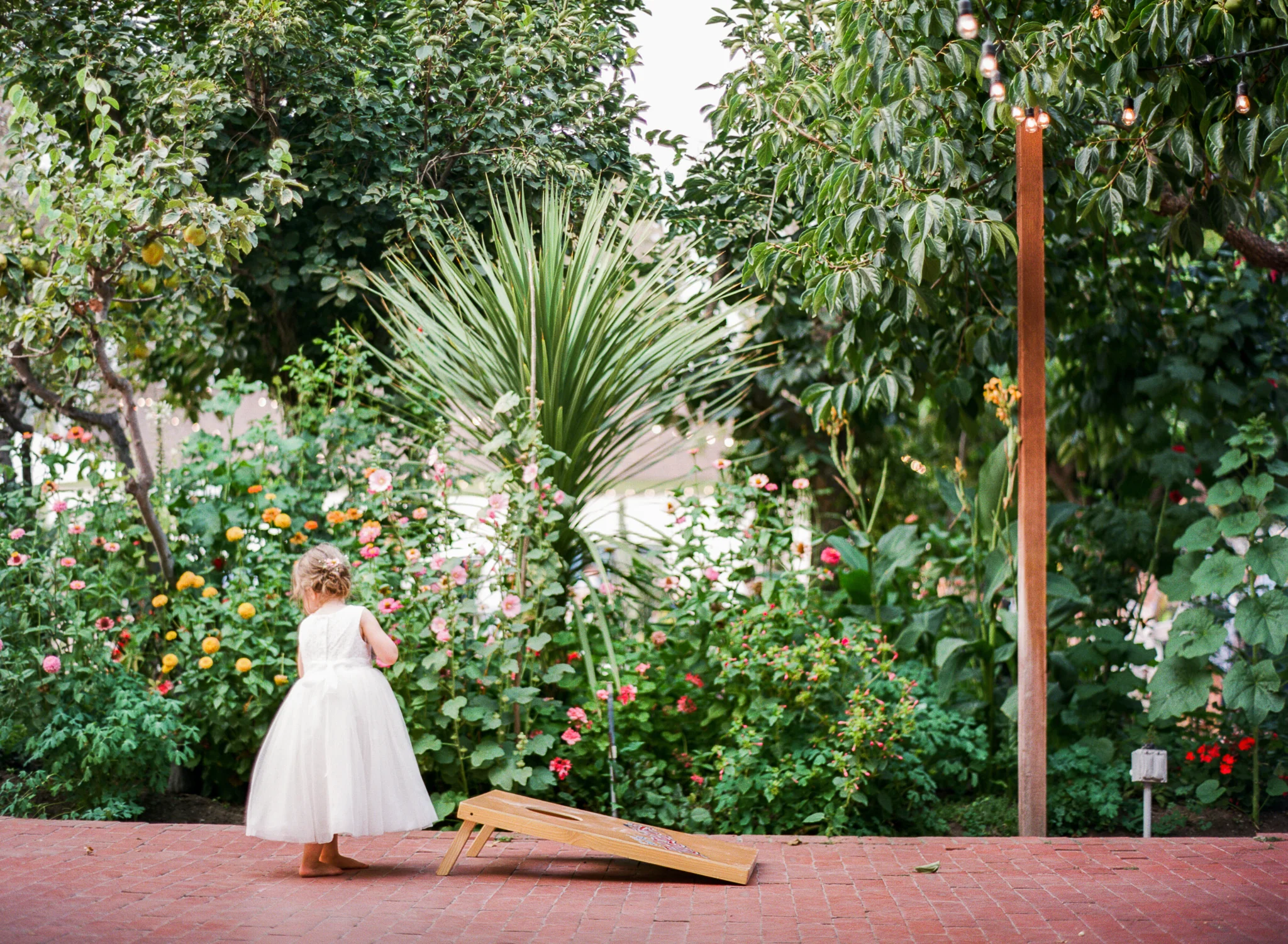 Wedding-1000-4.jpg