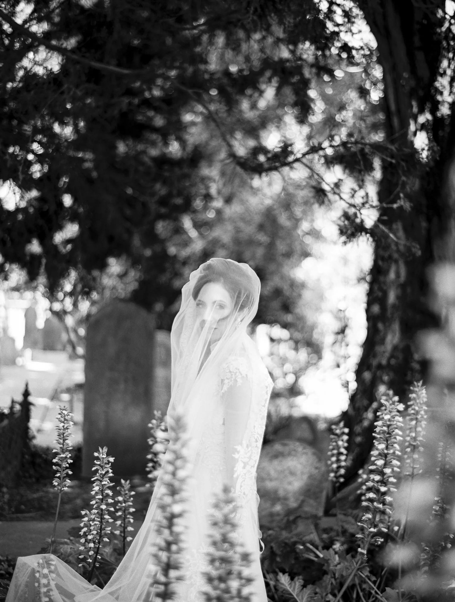 Oakland-wedding-abi-q-photography-100.jpg
