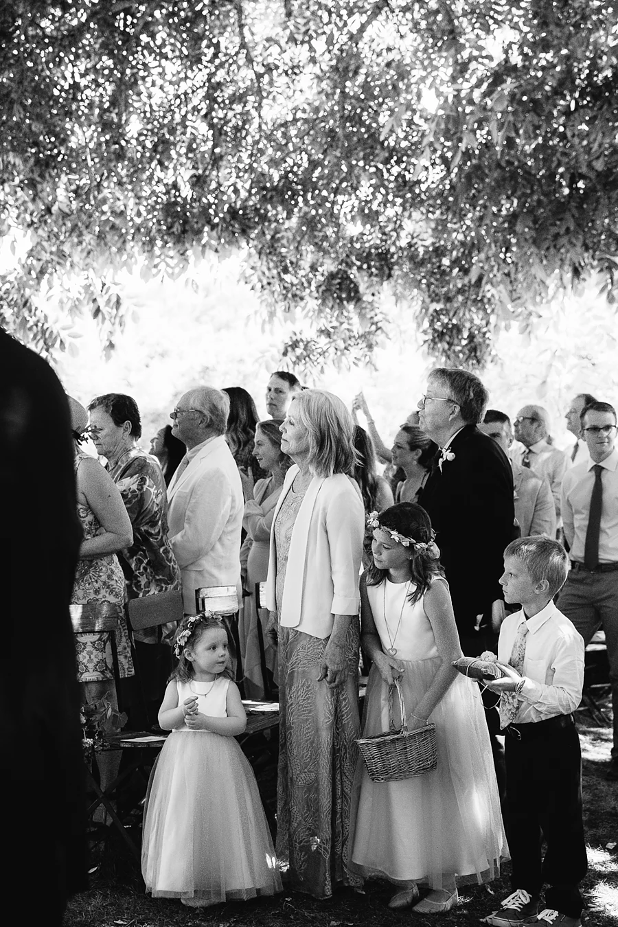 triple-s-ranch-wedding-calistoga-california-abi-q-photography-_0157.jpg