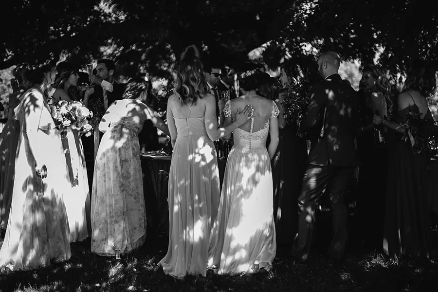 triple-s-ranch-wedding-calistoga-california-abi-q-photography-_0166.jpg