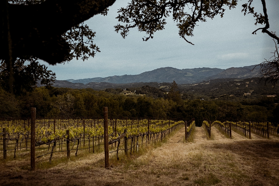 Glen-ellen-california-wedding-abi-q-photography-_0100.jpg