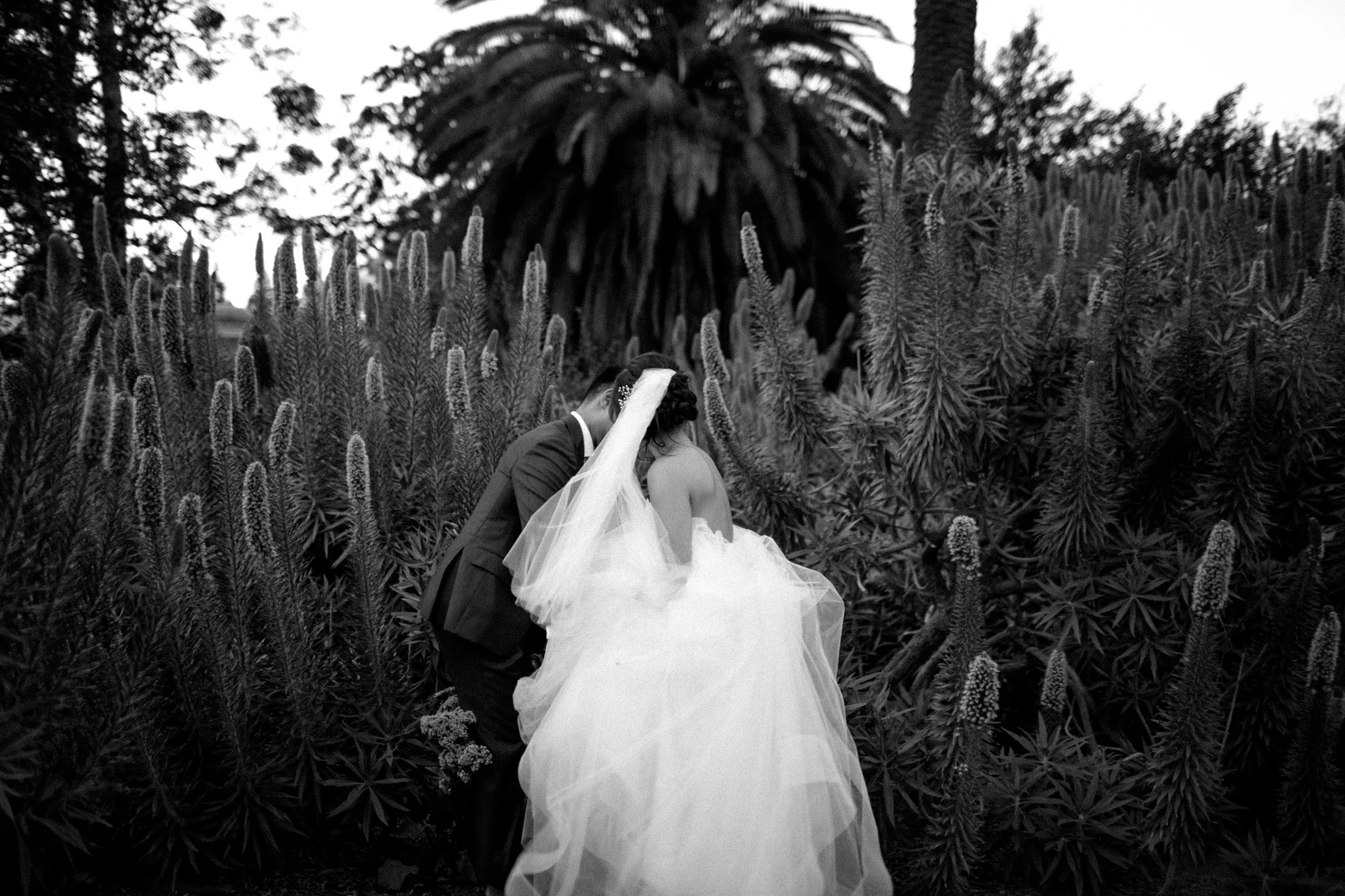 Camarillo-ranch-house-wedding-abi-q-photography-100-2.jpg