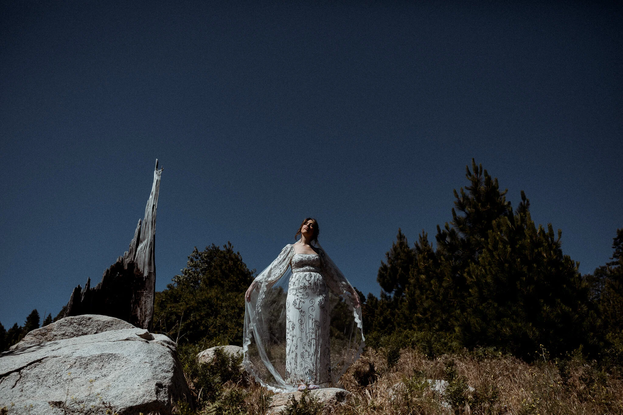 Lake-Arrowhead-Wedding-Abi-Q-Photography-100-5.jpg