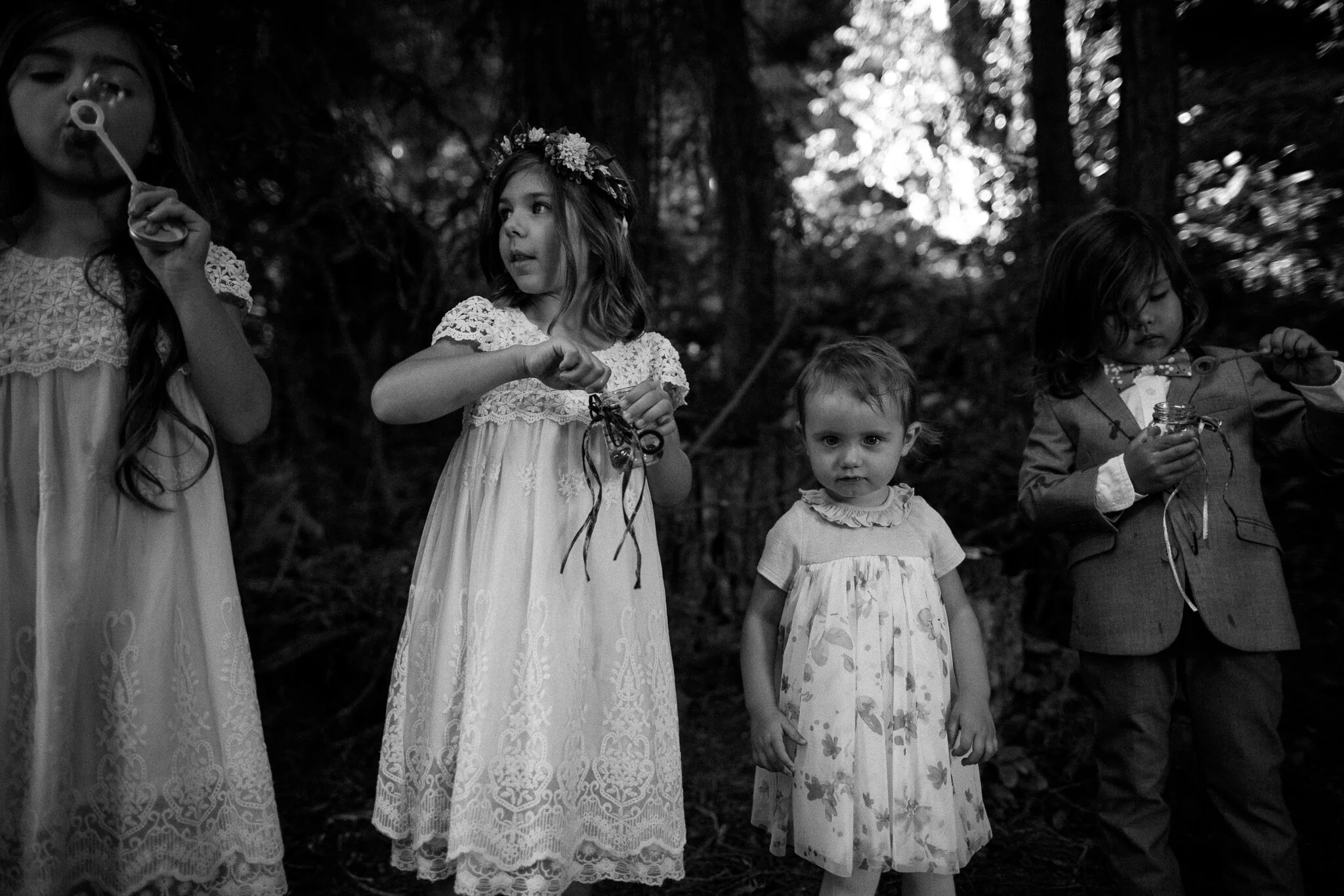 Wedding-Mendocino-Oz-Farm-Abi-Q-Photography-Oz-Farms-100.jpg